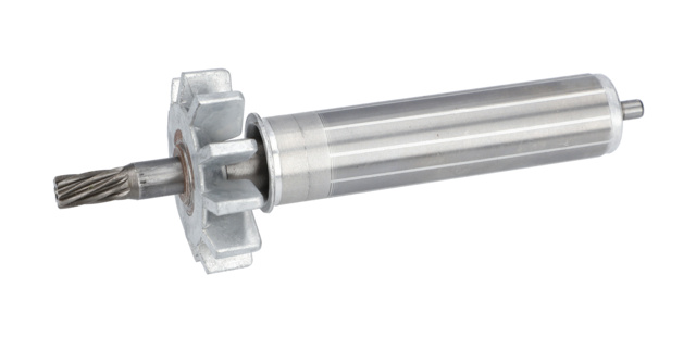 Rotor