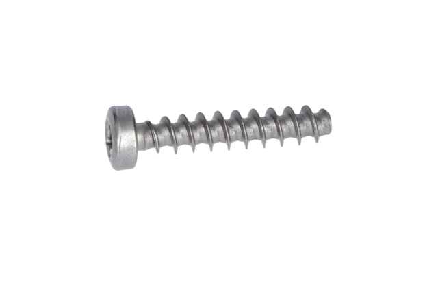 TORX MERCiMEK BAŞLi ViDA