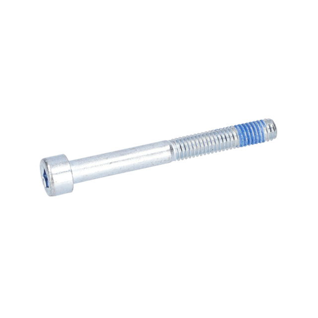 MiKRO KAPSÜLLÜ ViDA M6X55
