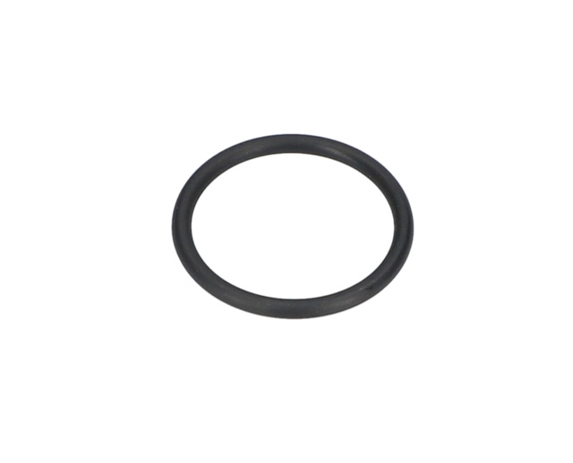 O RiNG 20X2-NBR70