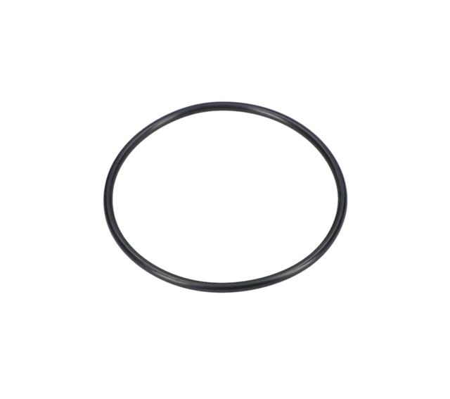 O RiNG EA100